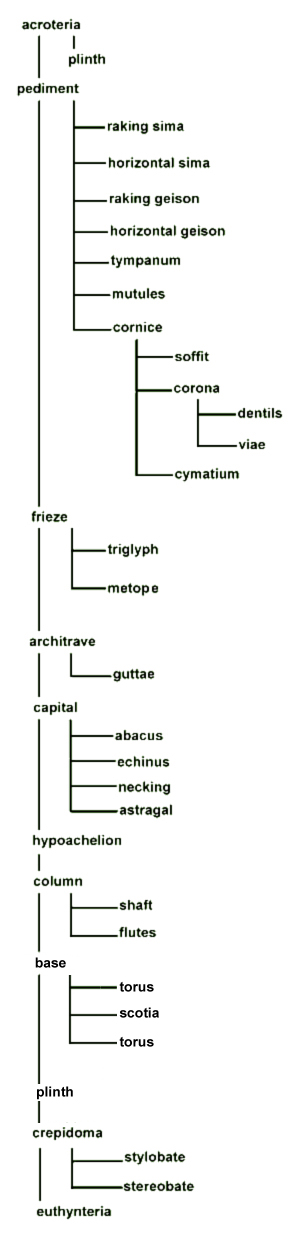 Order Hierarchy